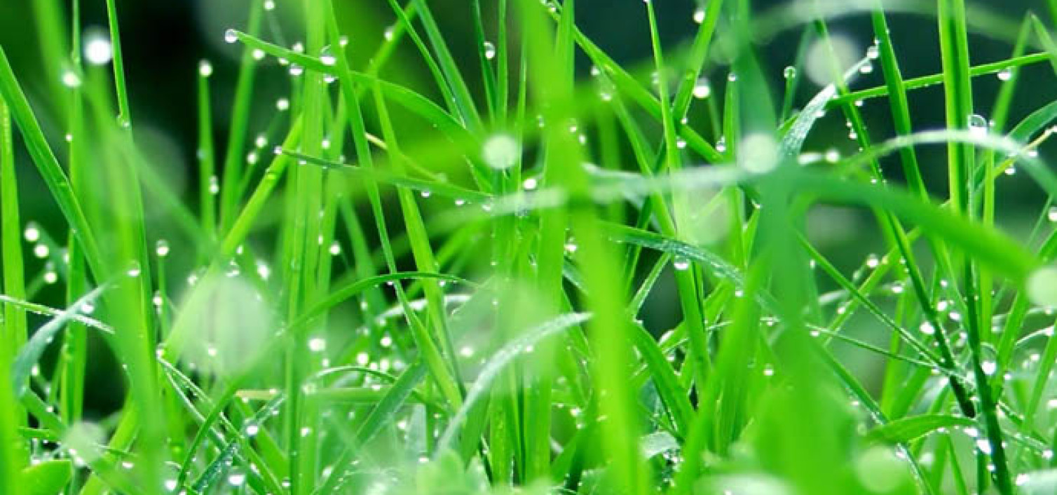 10 claves para un evento verde