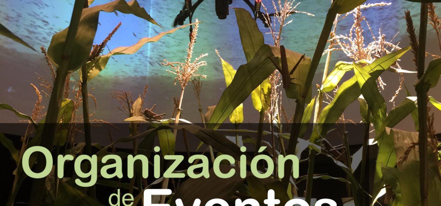 Ebook – Organización de Eventos